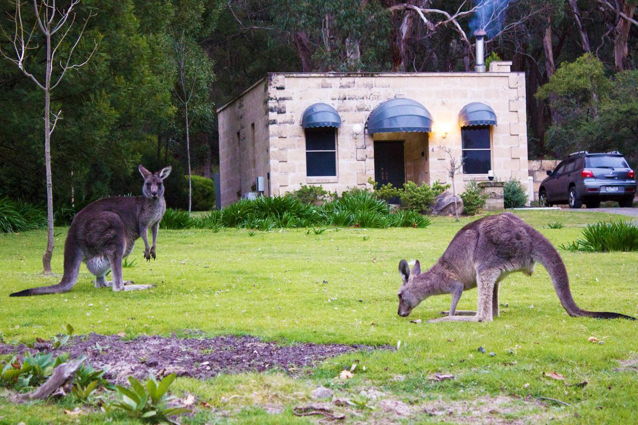 Marwood Villas Halls Gap Dış mekan fotoğraf