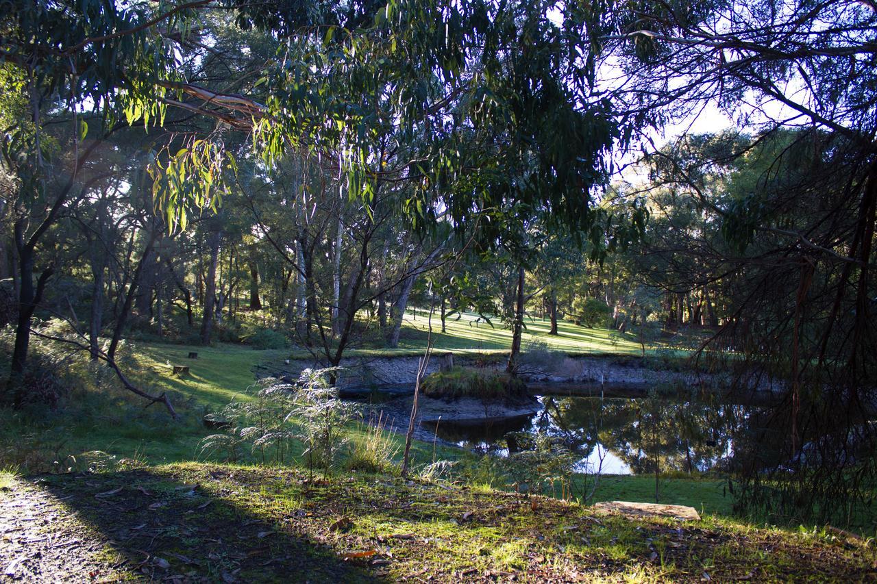 Marwood Villas Halls Gap Dış mekan fotoğraf